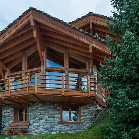 Sebas By Interhome Chalet Nendaz